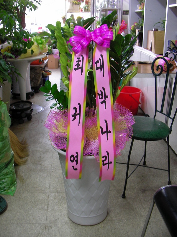 9��9��(����)