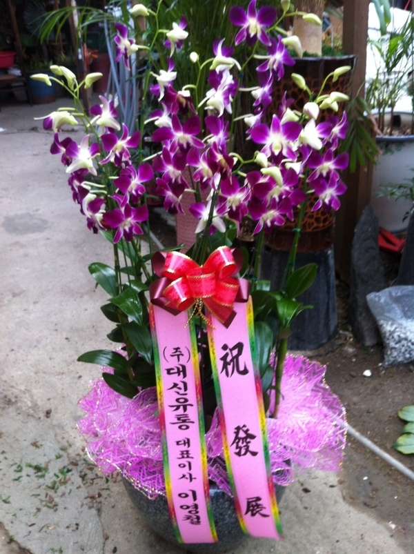 9��9��(����)