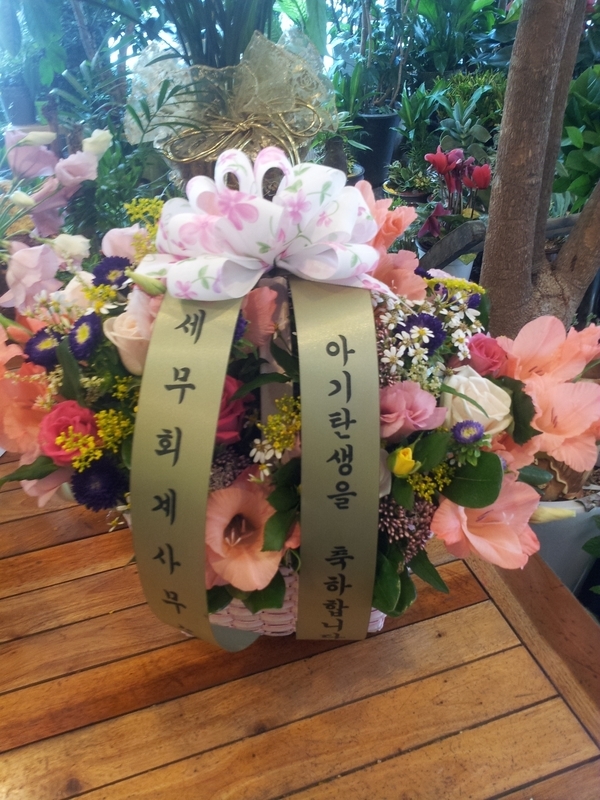 9��9��(����)