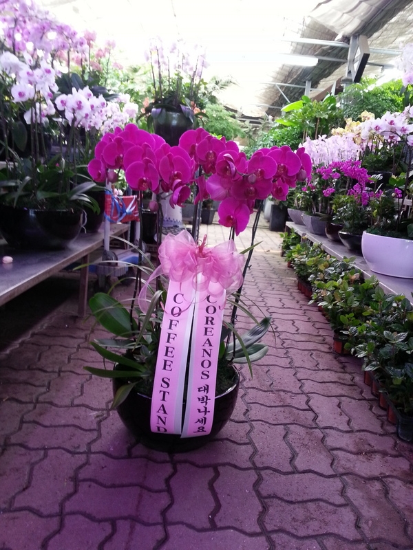 9��9��(����)