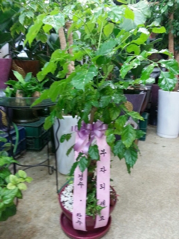 9��9��(����)