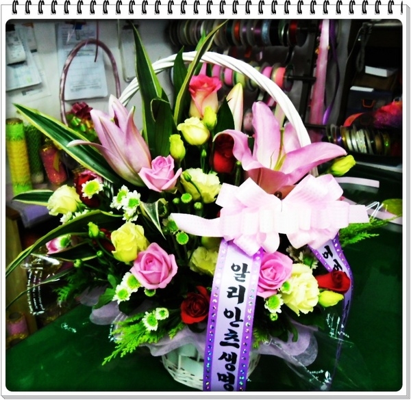 9��13��(�ݿ���)