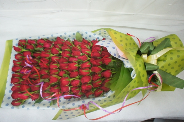 9��13��(�ݿ���)