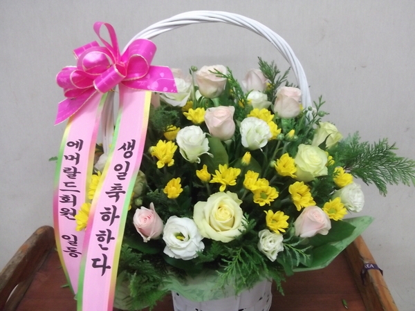 9��13��(�ݿ���)