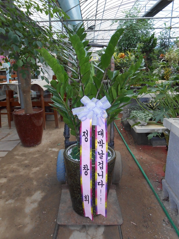 9��13��(�ݿ���)