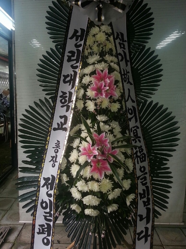 9��13��(�ݿ���)