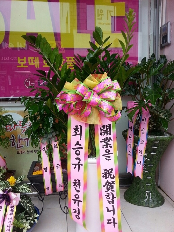 9��13��(�ݿ���)