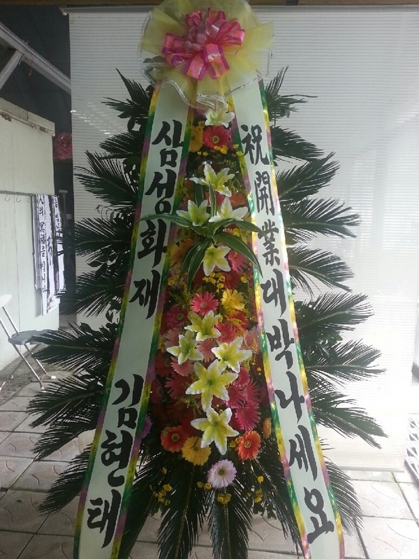 9��13��(�ݿ���)