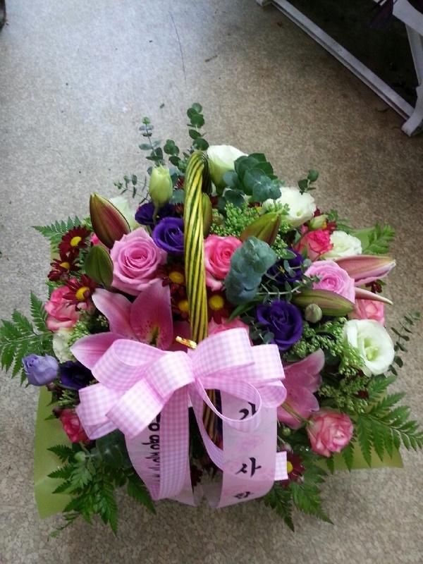 9��13��(�ݿ���)