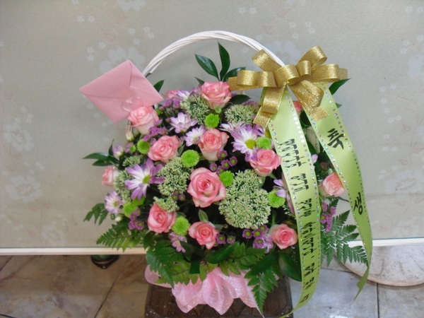 9��13��(�ݿ���)