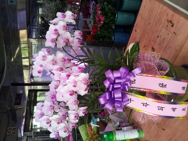 9��13��(�ݿ���)