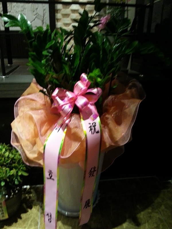 9��14��(��)