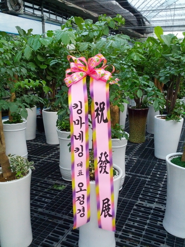 9��14��(��)