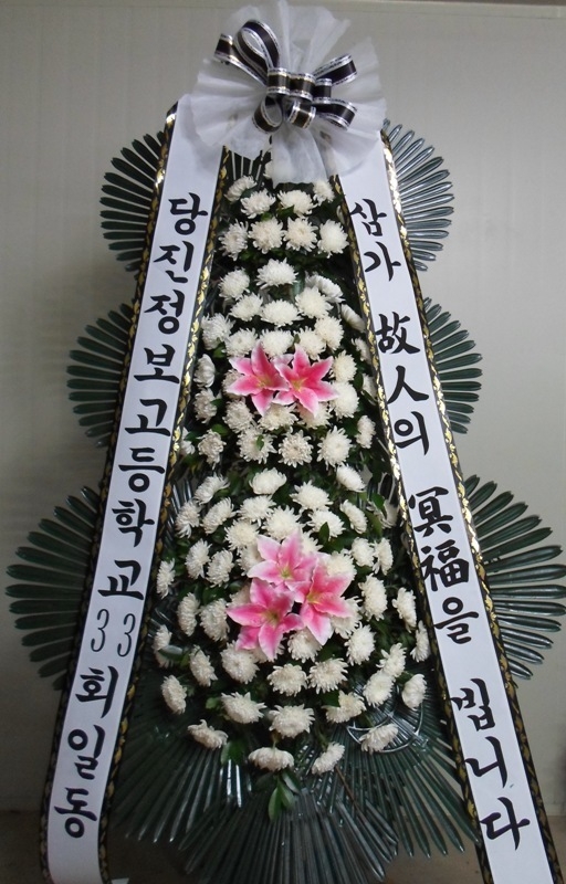 9��18�� ����������33ȸ