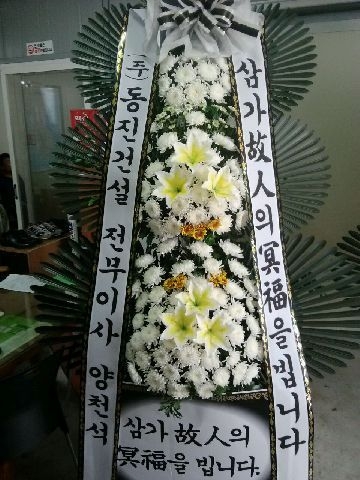 9��21��(�����)