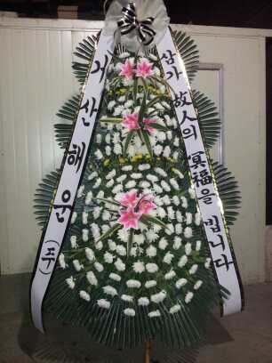 9��21��(�����)