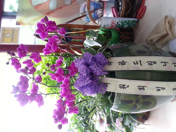 9��21��(�����)