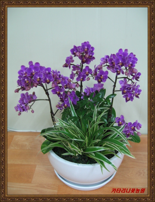 9��21��(�����)