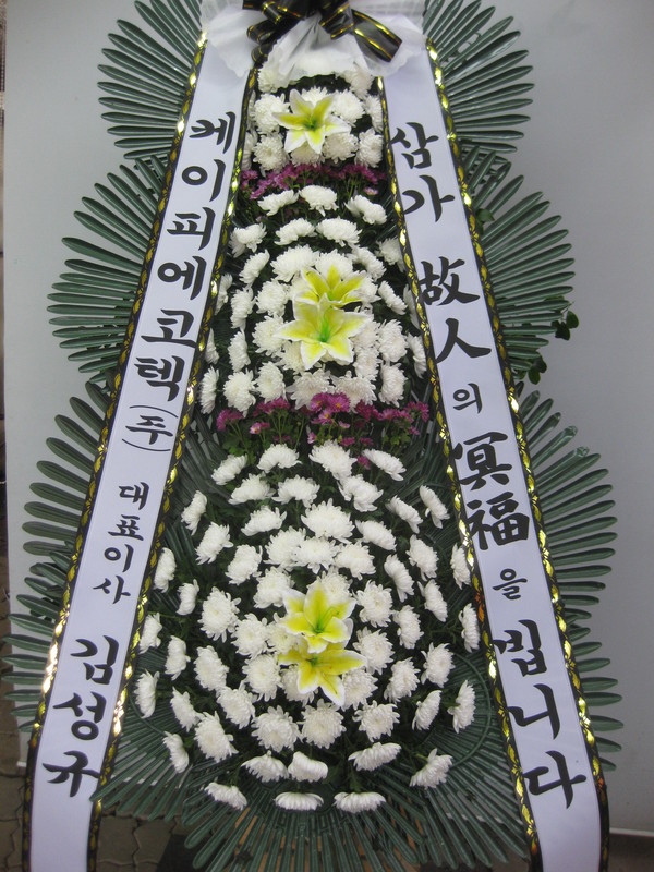 9��21��(�����)