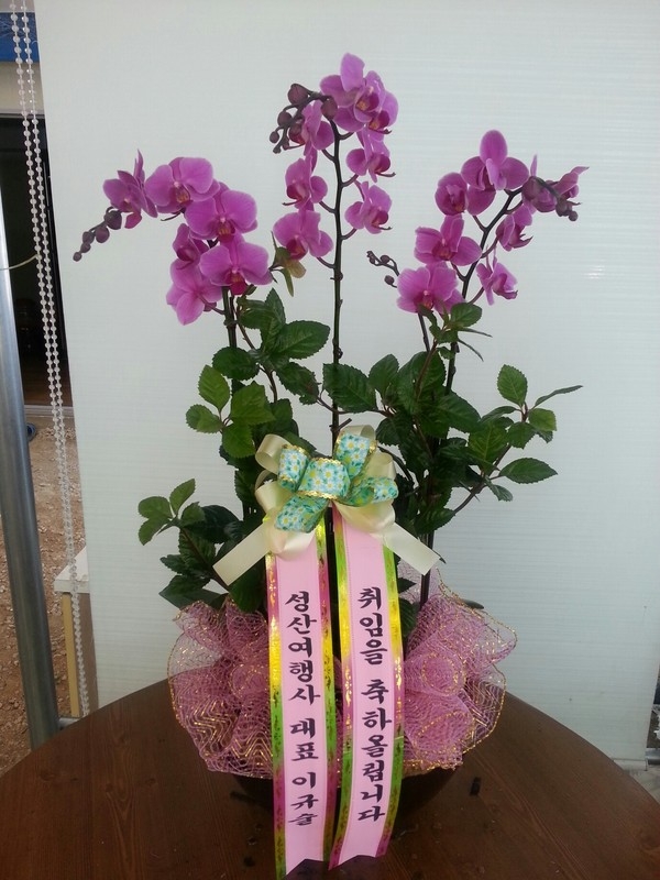 9��26��(�����)