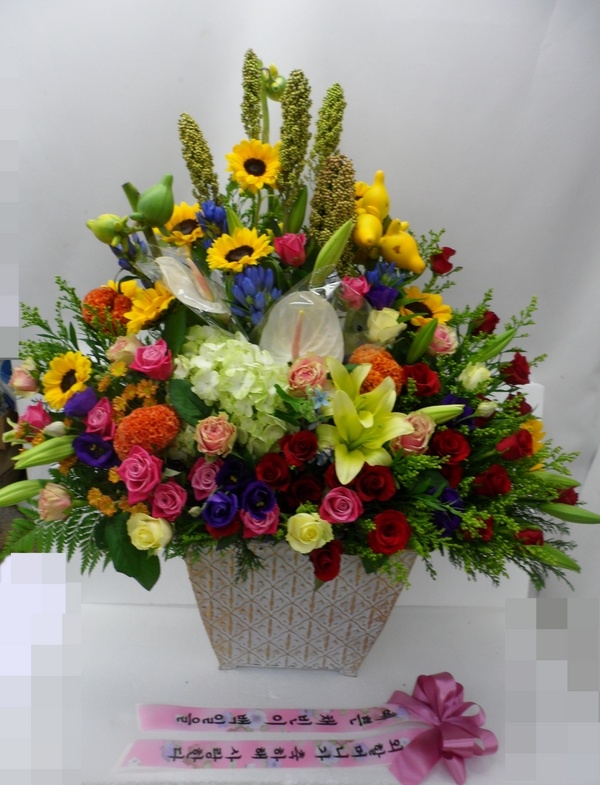 9��26��(�����)