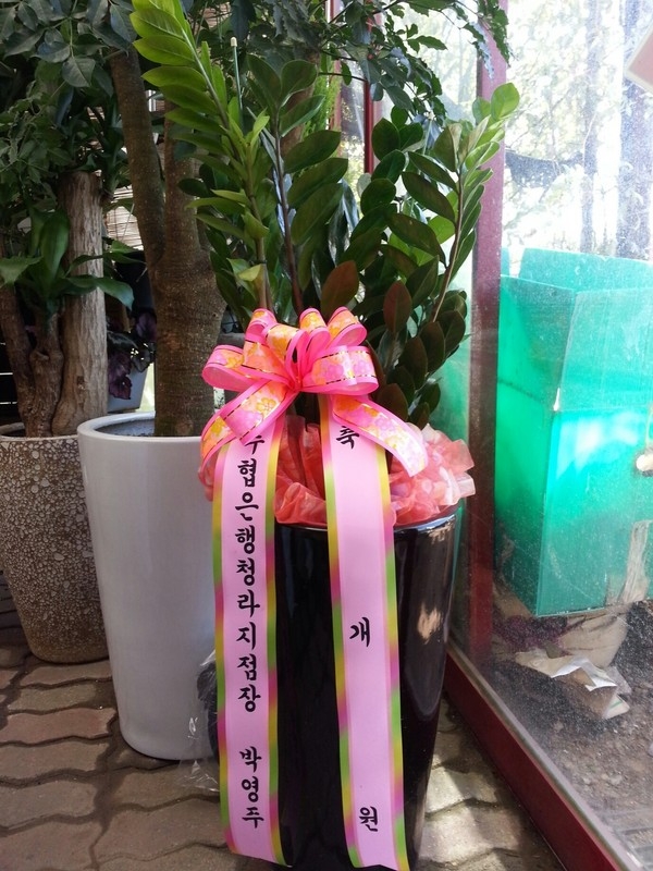 9��26��(�����)