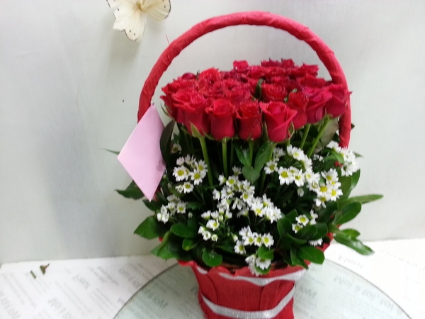 9��26��(�����)