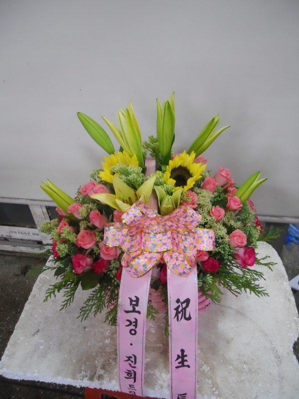 9��26��(�����)