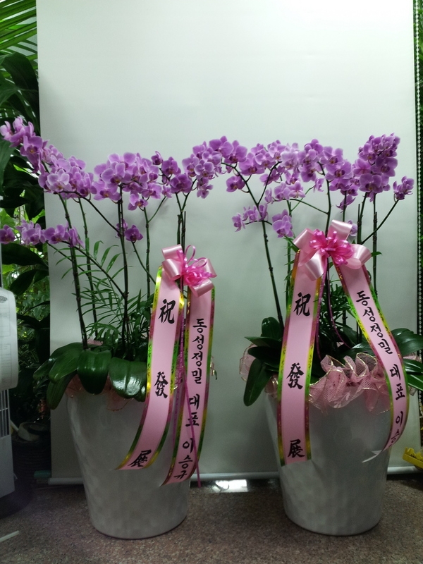 9��26��(�����)