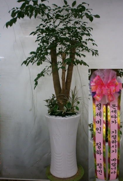 9��26��(�����)