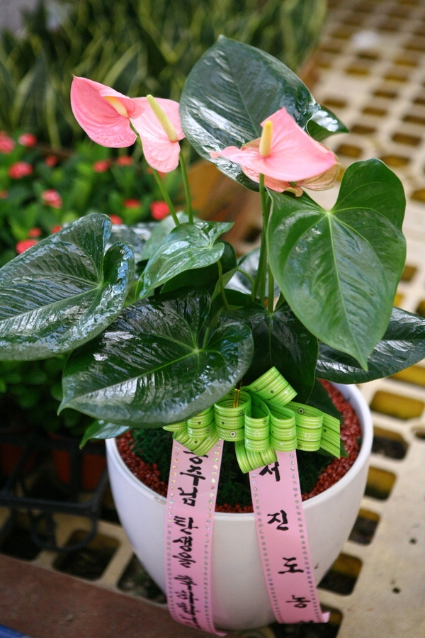 9��26��(�����)