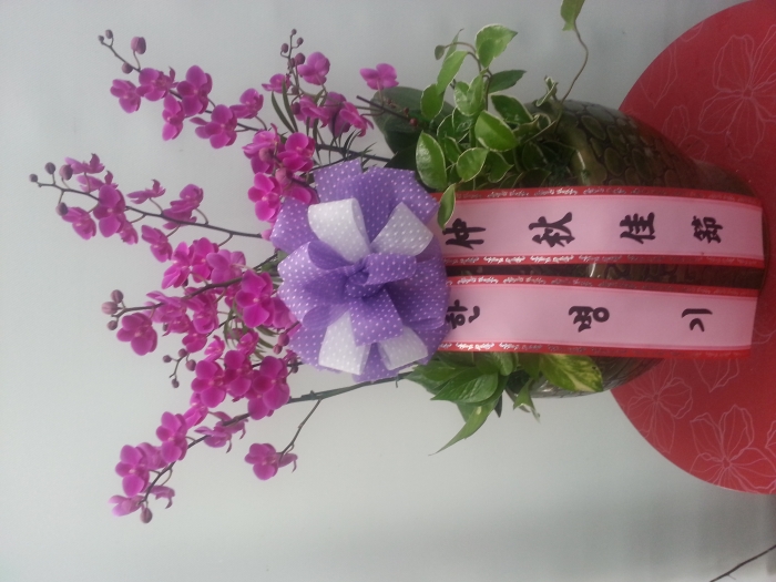 9��28��(�����)