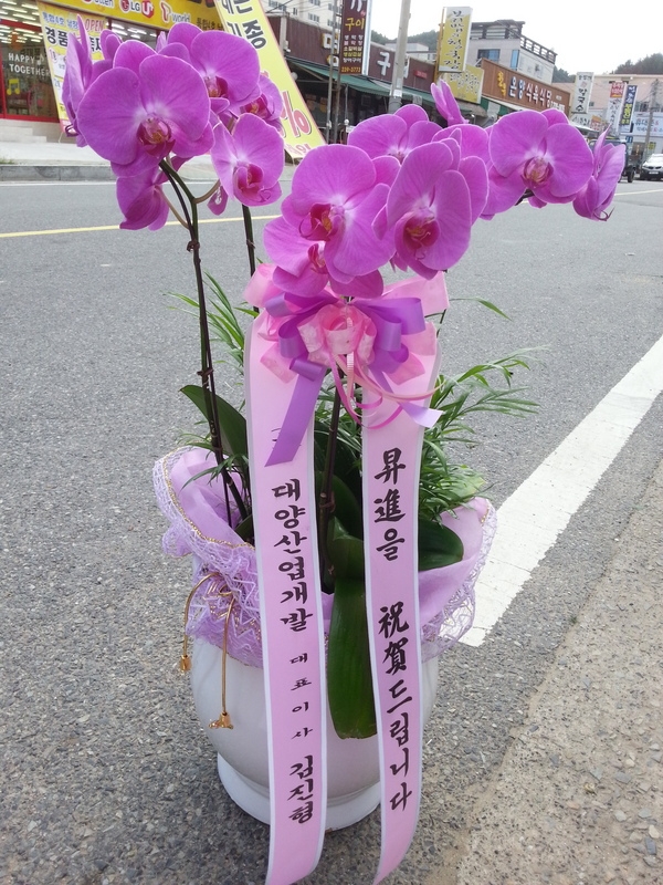 10��2��(������)