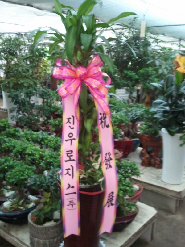 10��2��(������)