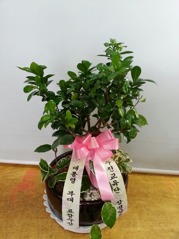 10��2��(������)