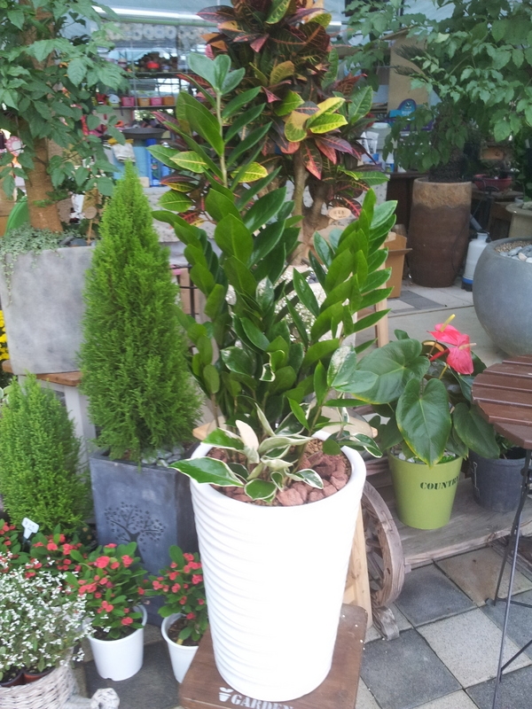 10��2��(������)