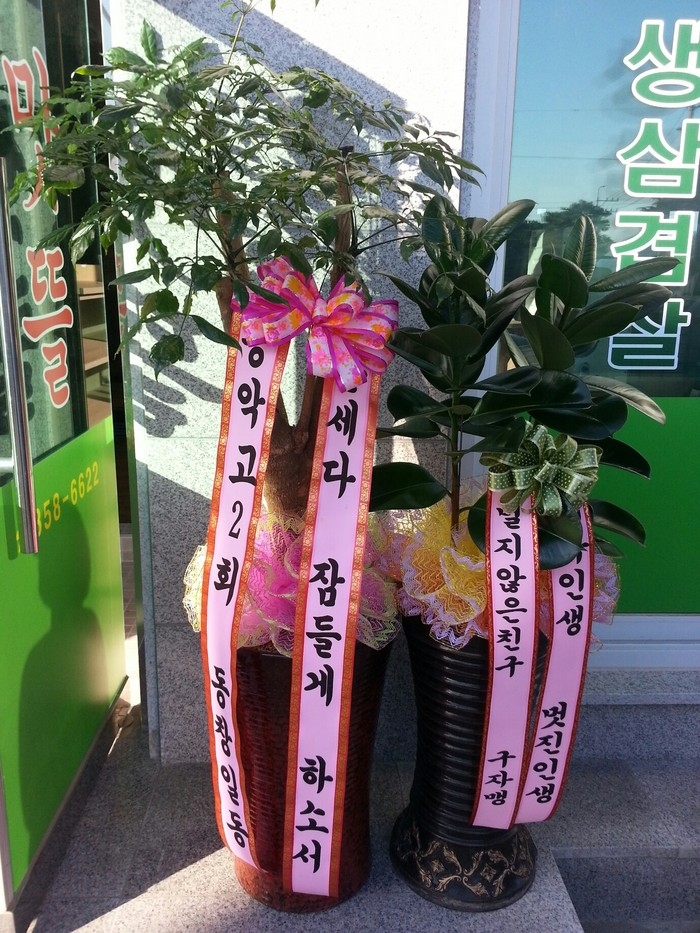 10��5��(�����)