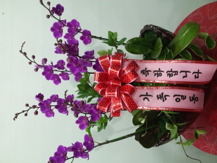 10��5��(�����)