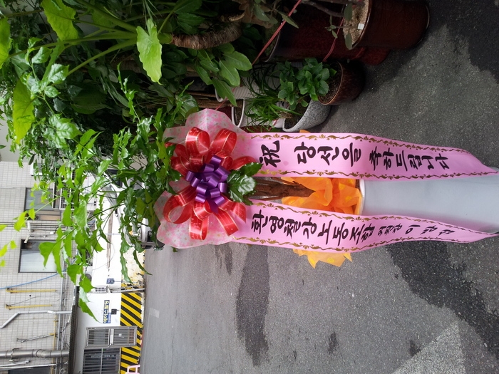 10��5��(�����)