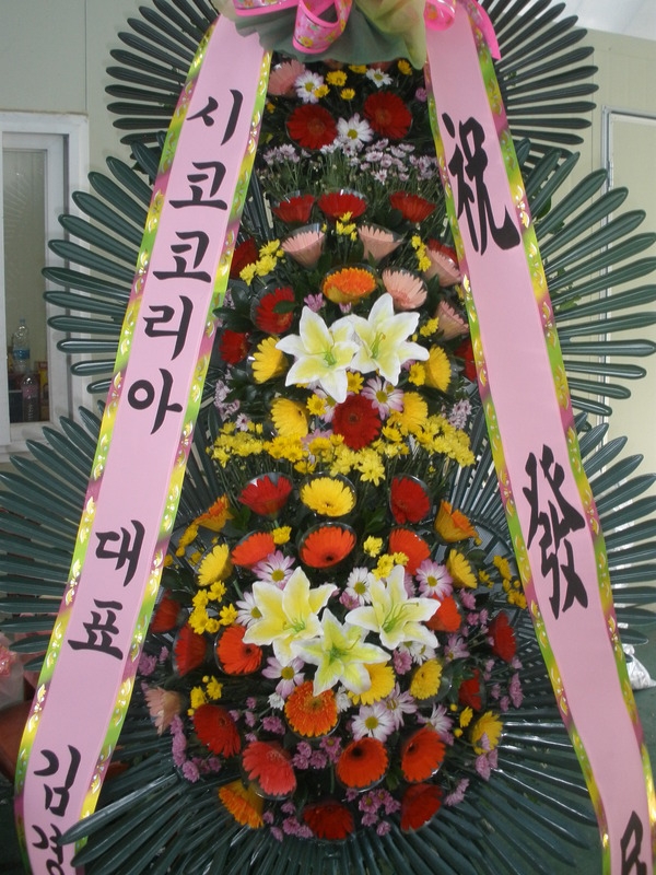 10��5��(�����)