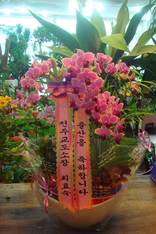 10��8��(ȭ����)