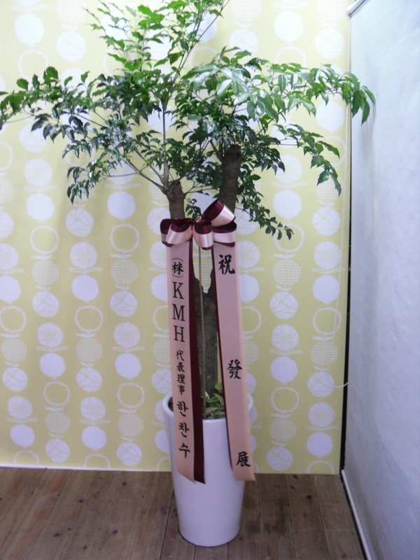 10��8��(ȭ����)