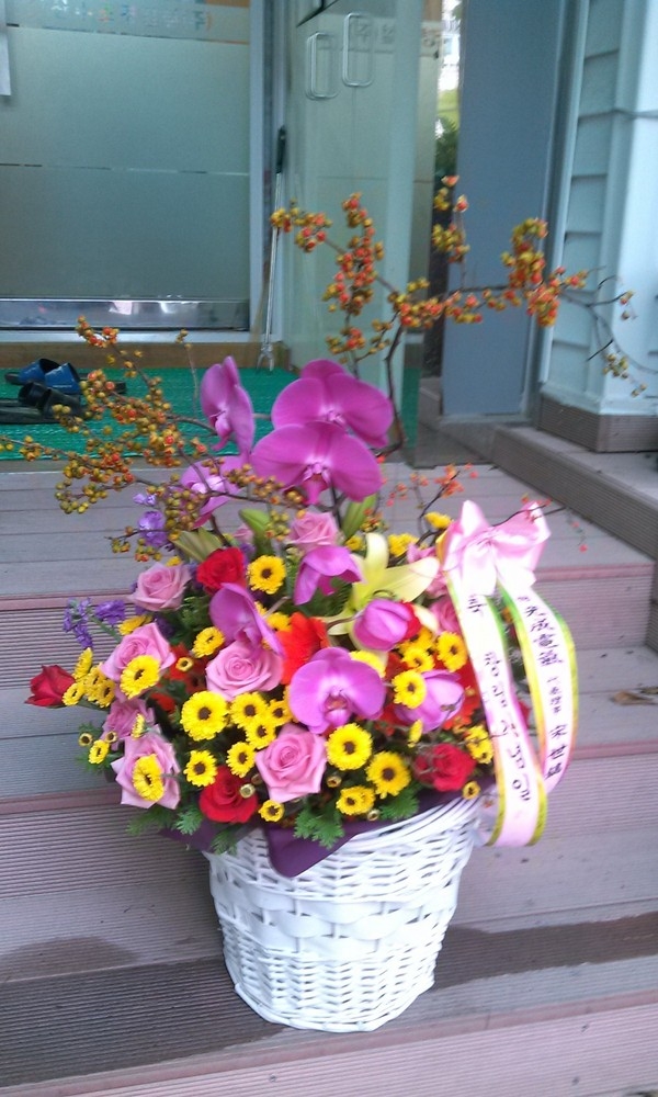 10��8��(ȭ����)