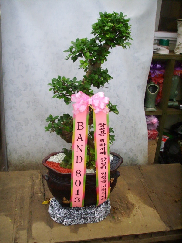 10��8��(ȭ����)