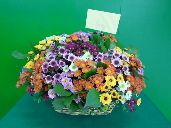 10��8��(ȭ����)