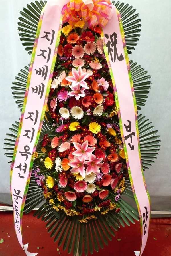 10��10��(�����)