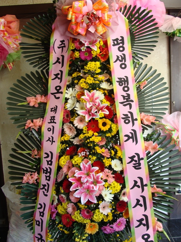 10��10��(�����)