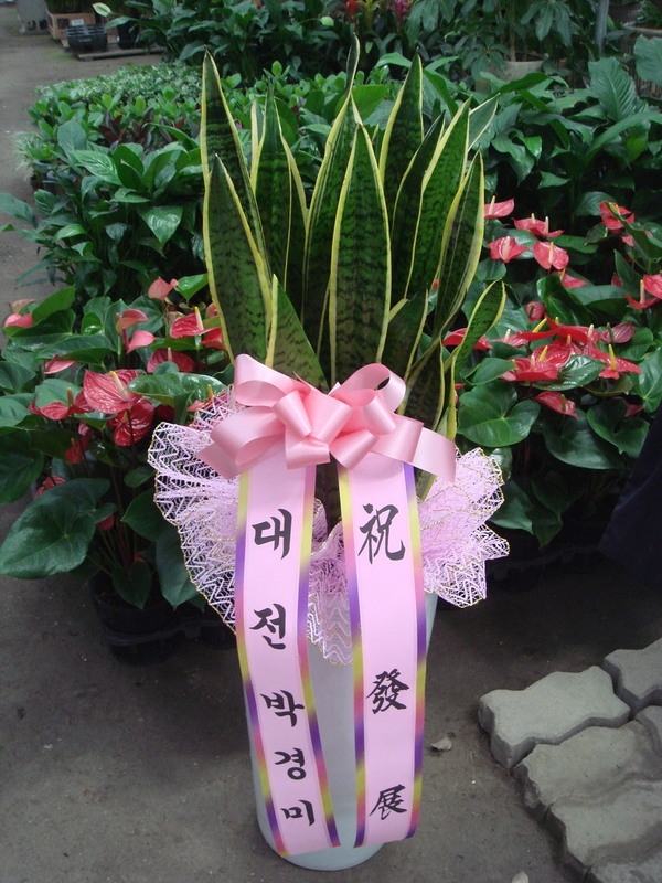 10��10��(�����)