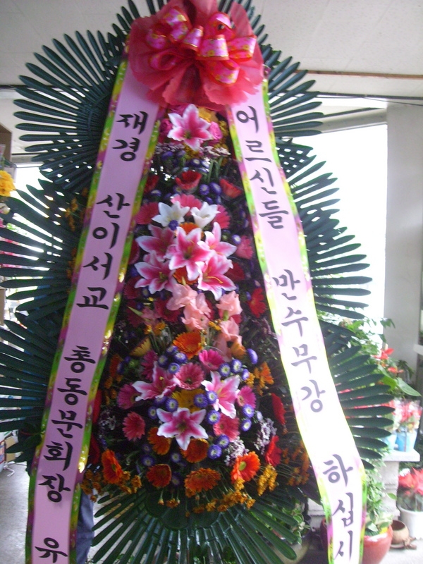 10��10��(�����)