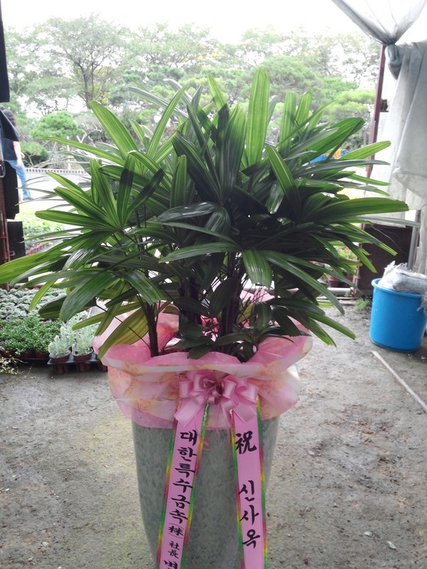 10��10��(�����)